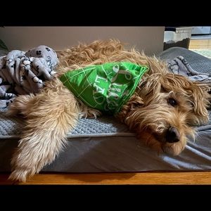 Meet your Posher, Dani